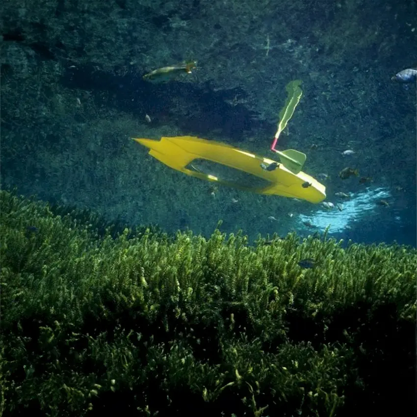 The Atlantis Clear Bottom Kayak photo 3