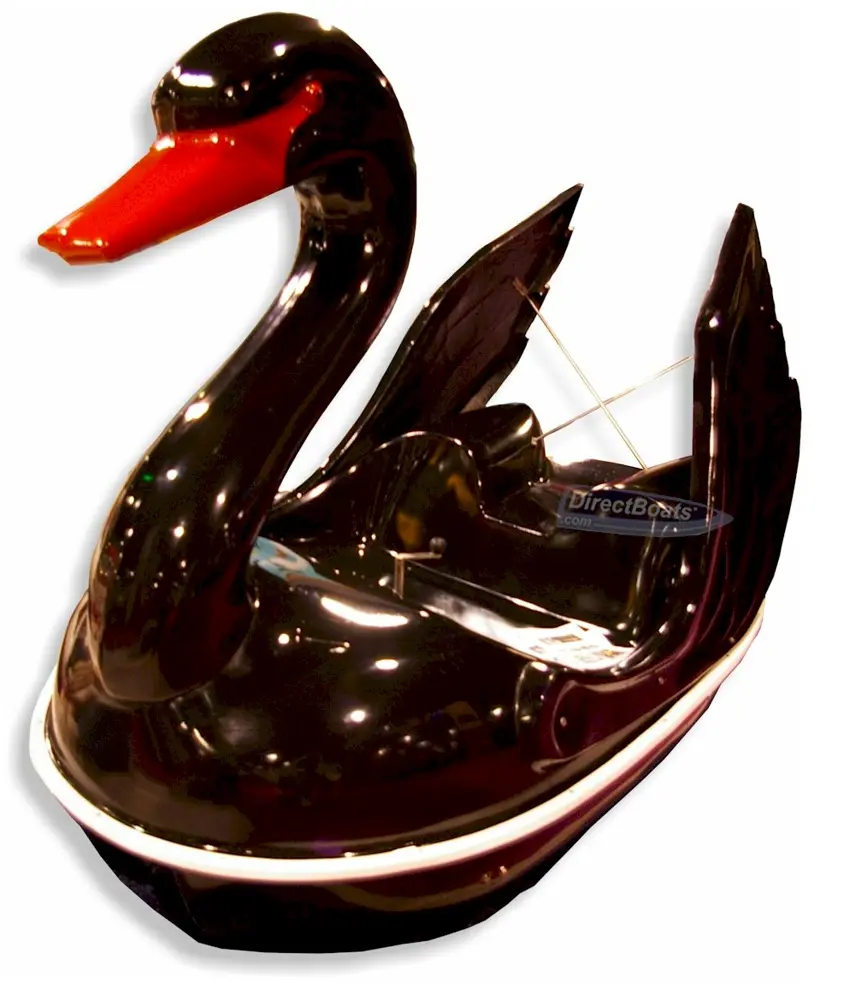 Black Swan Pedal Boat photo 2