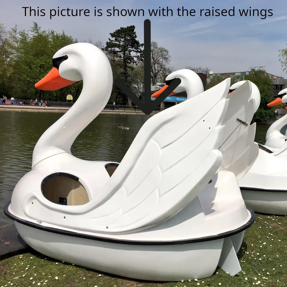 Swan Pedal Boat photo 2