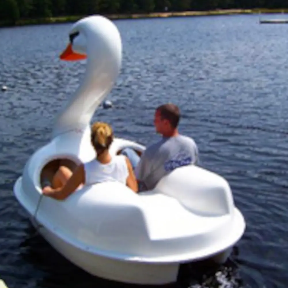 Swan Pedal Boat photo 3