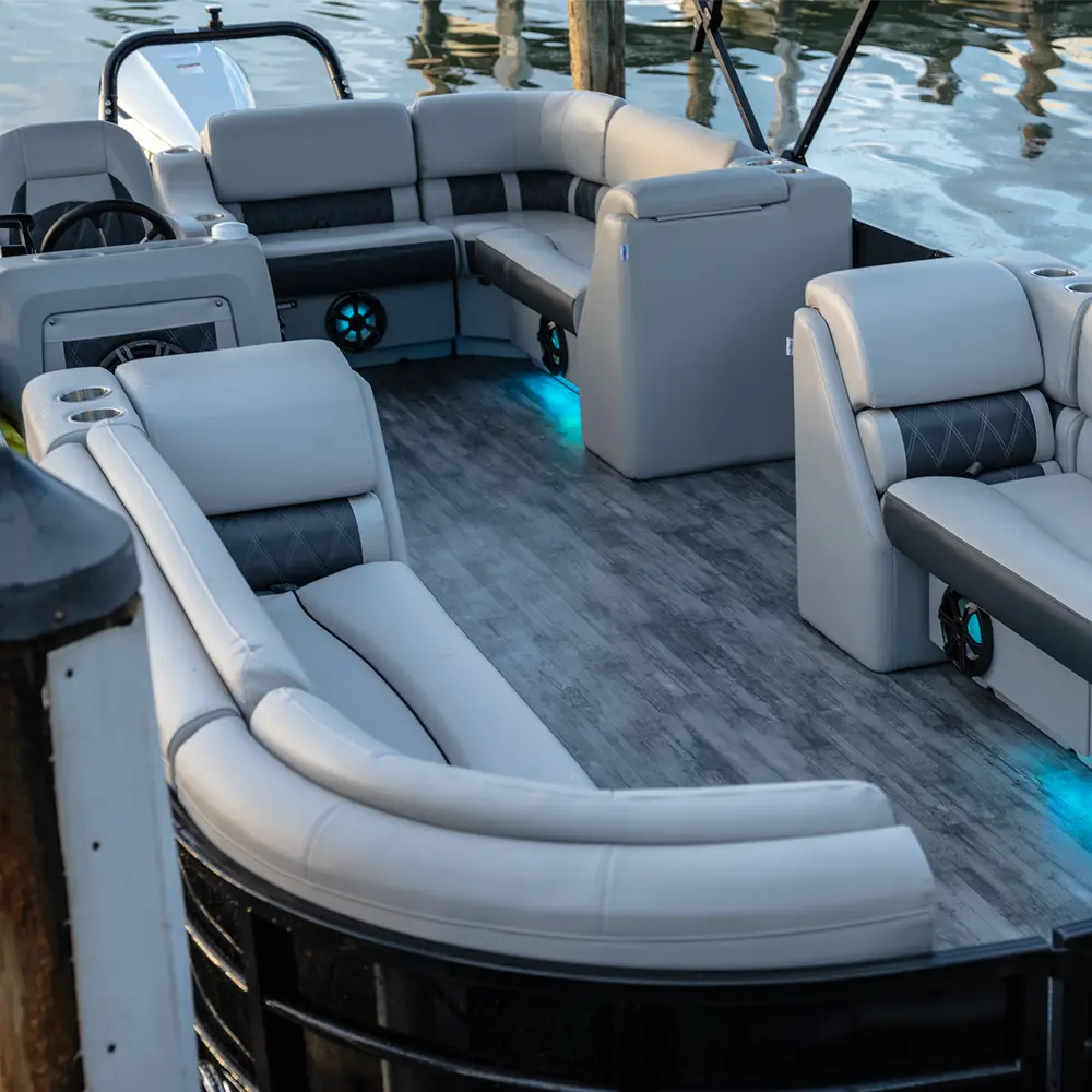 Windsor FTR 250 Tritoon photo 3