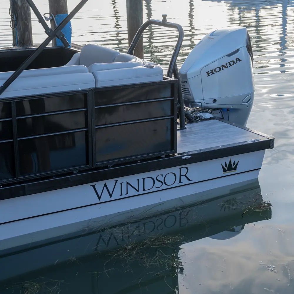 Windsor FTR 250 Tritoon photo 4